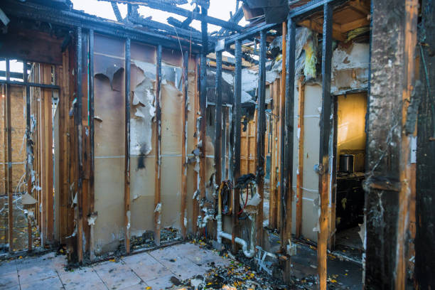Professional Odor Removal technician working in Cypress Lake, FL